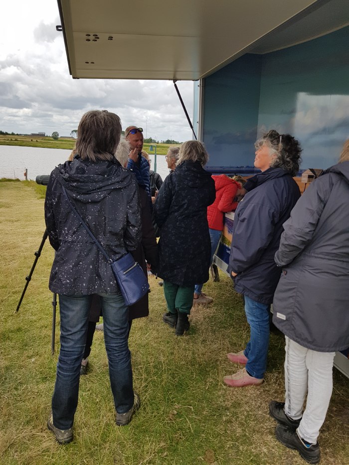 informatie over groninger landschap